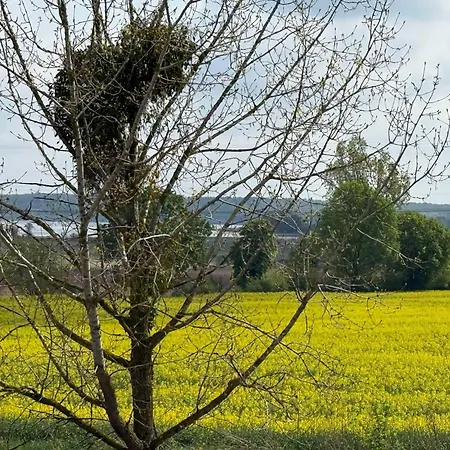 5 Apartment Kobylniki