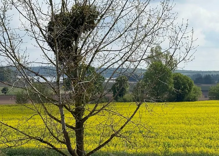 5 Apartment Kobylniki